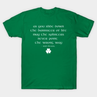 Irish Blessing Funny Irish Proverb Saying - The bannister of Life T-Shirt